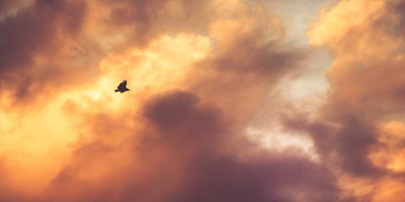 PTV现金64:现代投资服务与现金管理的智慧融合