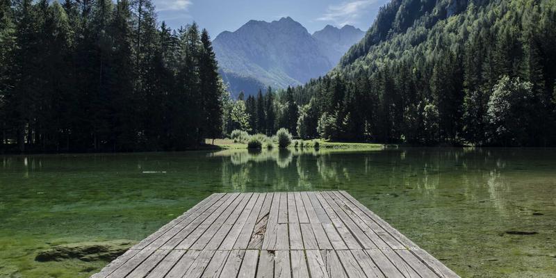 PTV现金94：专业现金管理与投资服务的现代解决方案