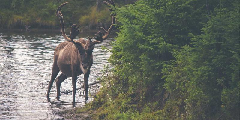 PTV现金API接口应用指南：赋能资产配置与金融理财的定制化解决方案