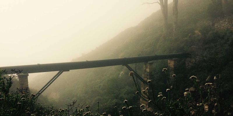 PTV现金入门：开启专业投资服务与财富管理的新视野