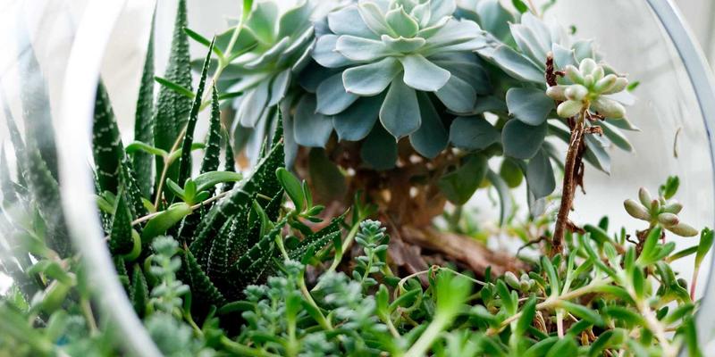 PTV现金场景化金融案例：从餐饮连锁到制造业的财富管理新范式