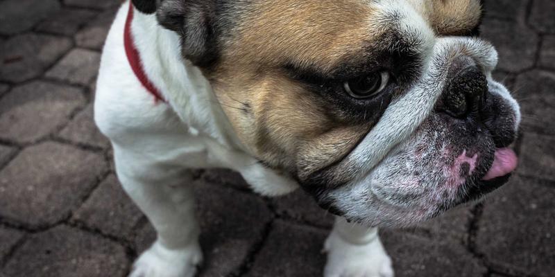 PTV现金安全吗？深度评估其安全性及风险防范策略，优化您的资产配置与现金管理