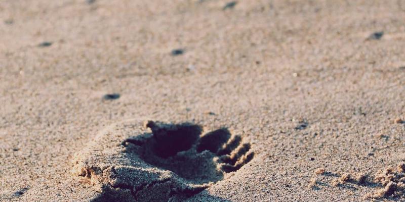 PTV现金数据加密技术白皮书：揭秘金融级安全架构如何守护您的投资与财富