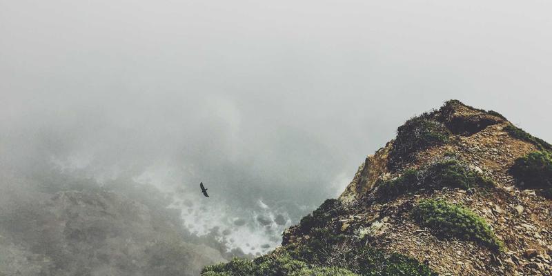 PTV现金用户画像深度解析：精准定位数字现金的适用人群与金融理财策略