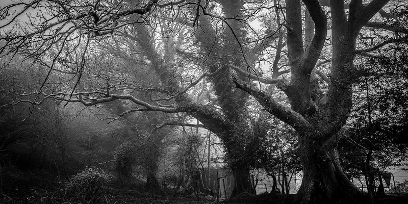 PTV现金管理：供应链金融新实践，如何破解中小企业资金周转难题？