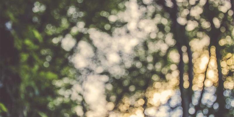 PTV现金账户注册与实名认证完整指南：开启您的智能金融理财第一步