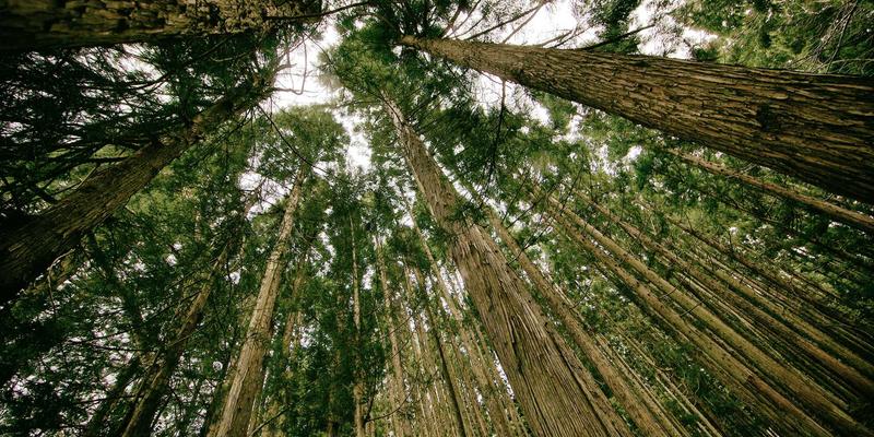 PTV现金趋势:金融理财新视角下的资产配置与现金管理策略