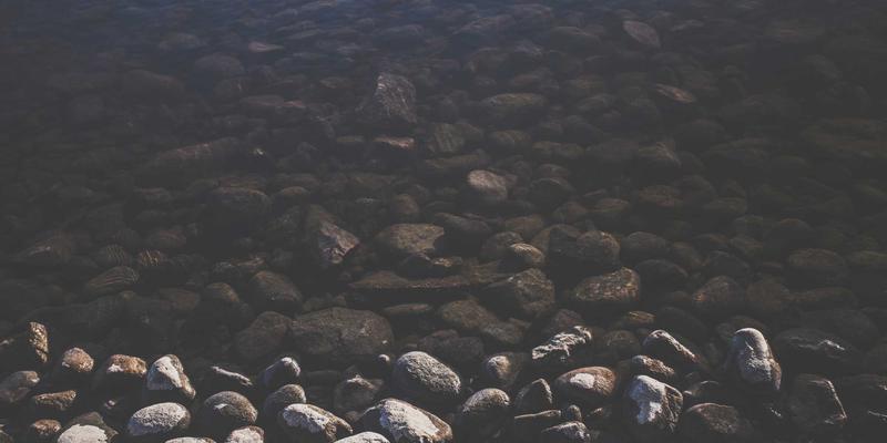 优化资产配置新思路：如何利用PTV现金管理实现三个月内闲置资金增值