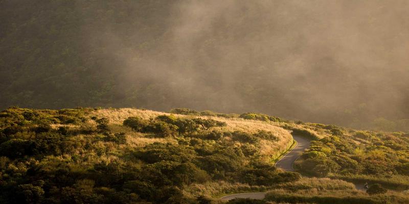 如何获取PTV现金？最新资产配置与现金管理实战指南