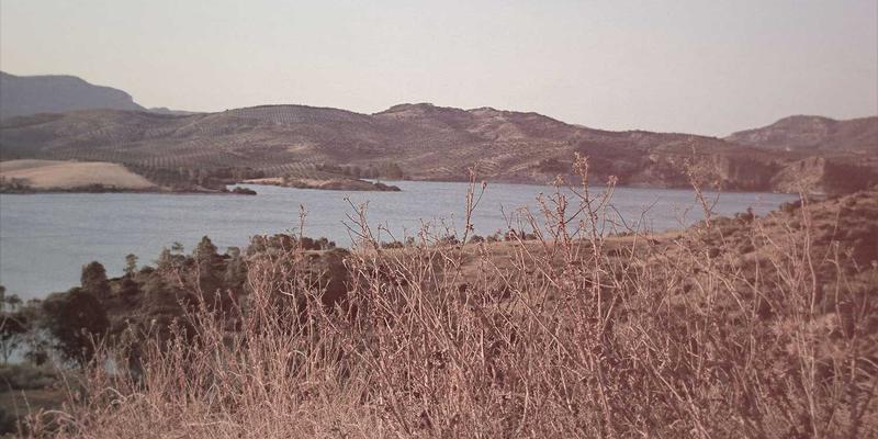 家庭财务安全网：PTV现金在紧急备用金规划中的核心作用与资产配置策略