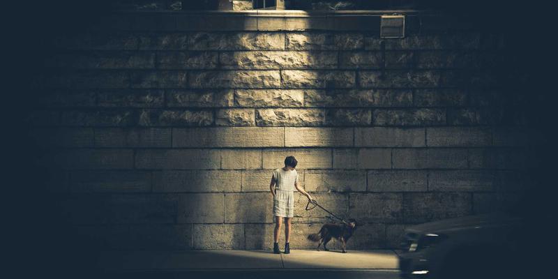 现金管理与资产配置新选择：PTV现金与数字银行活期产品的差异化竞争分析