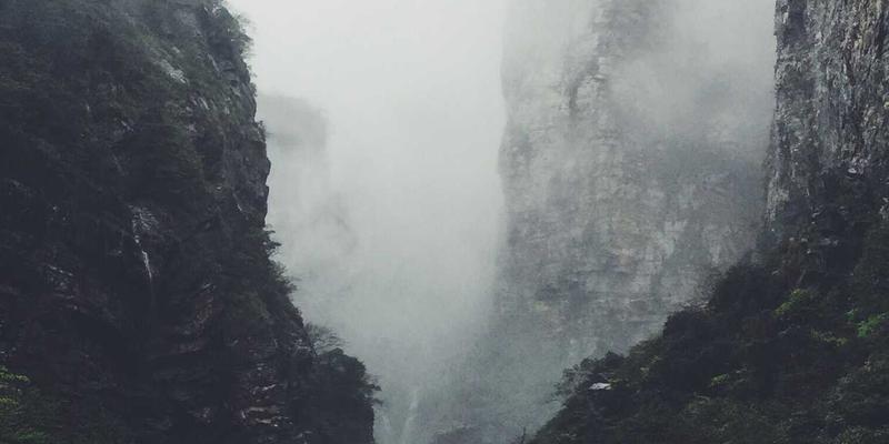 金融理财新趋势：PTV现金与智能投顾如何重塑您的财富管理体验